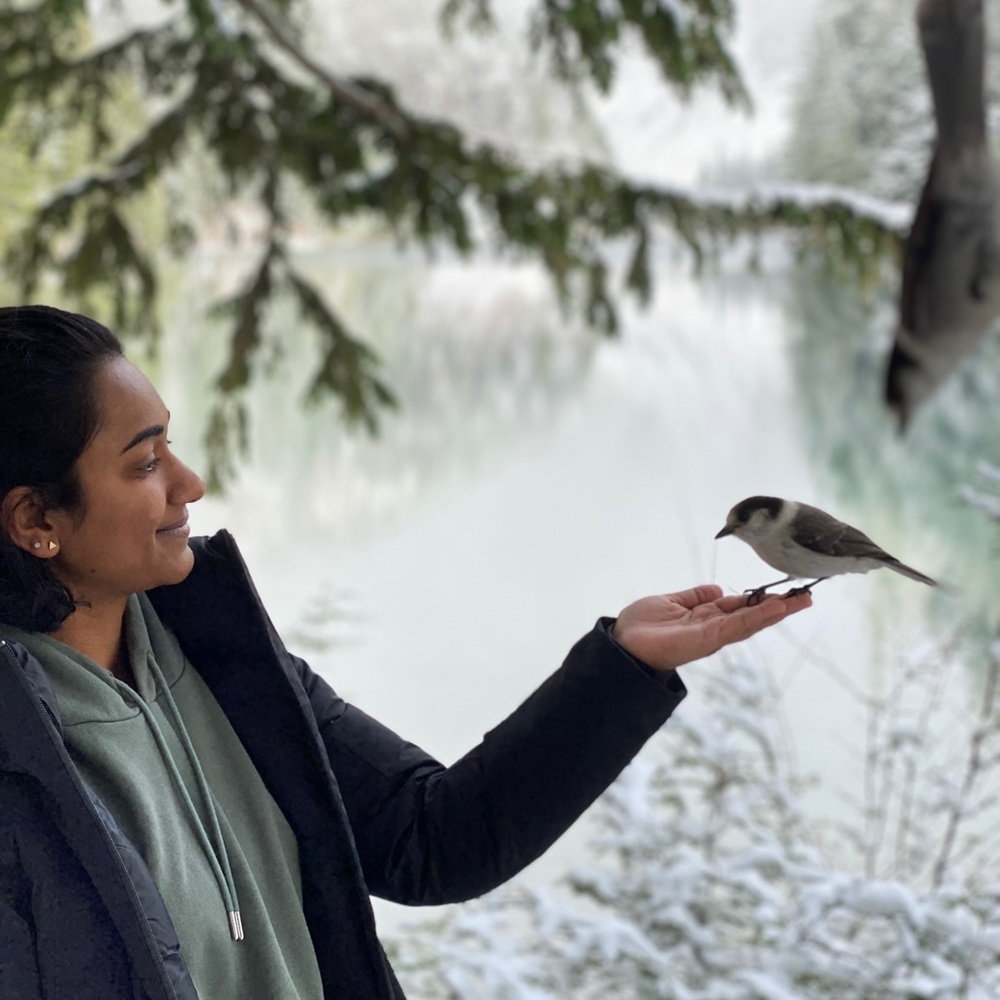 Meet your Posher, Amy